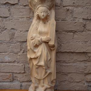 DSC00562