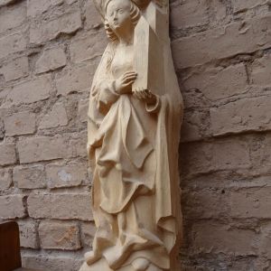 DSC00564